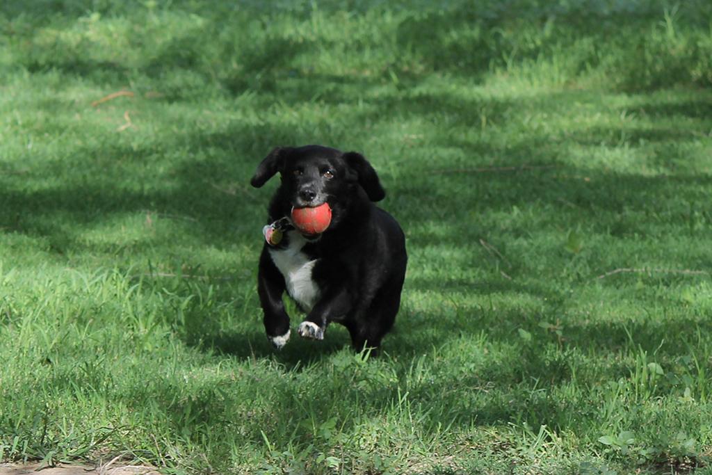 Playtime